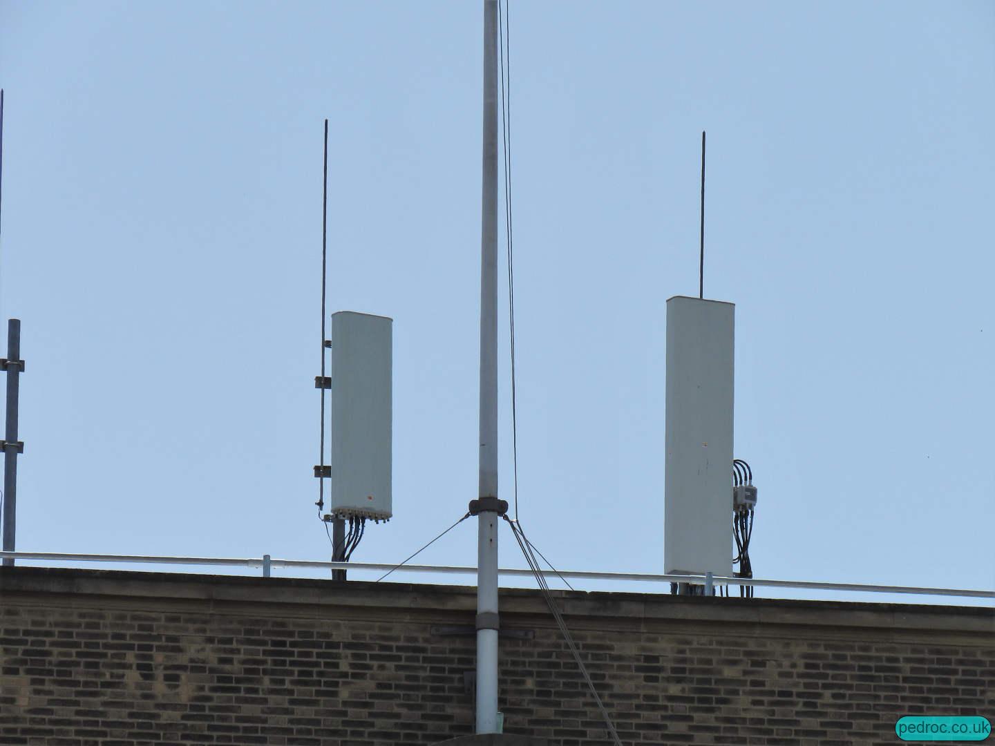 Cambridge Guildhall Mast