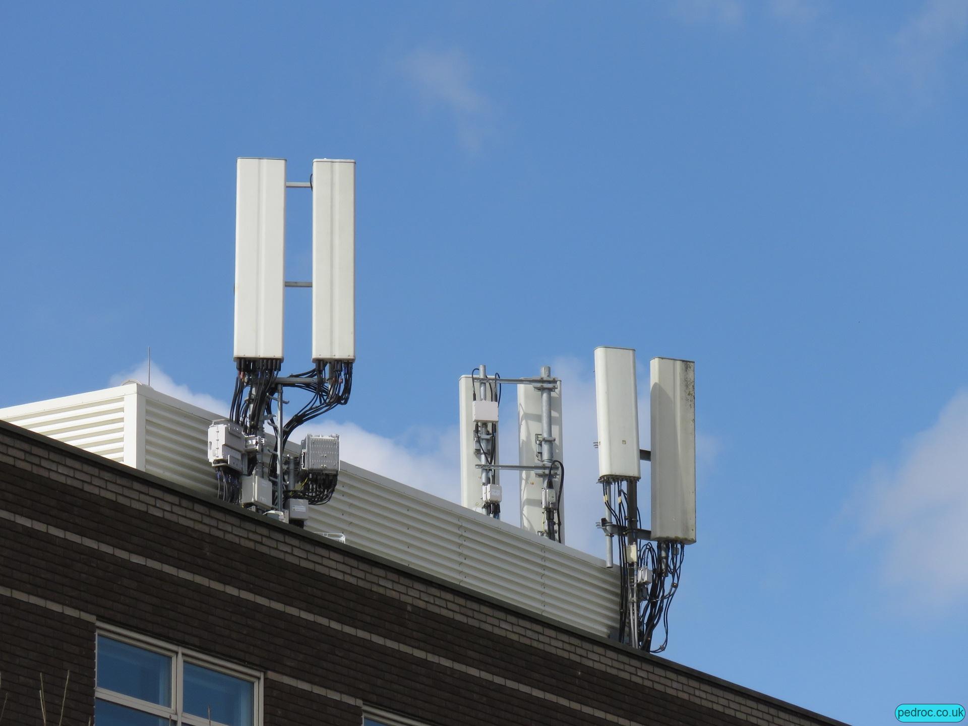 A busy Cambridge rooftop