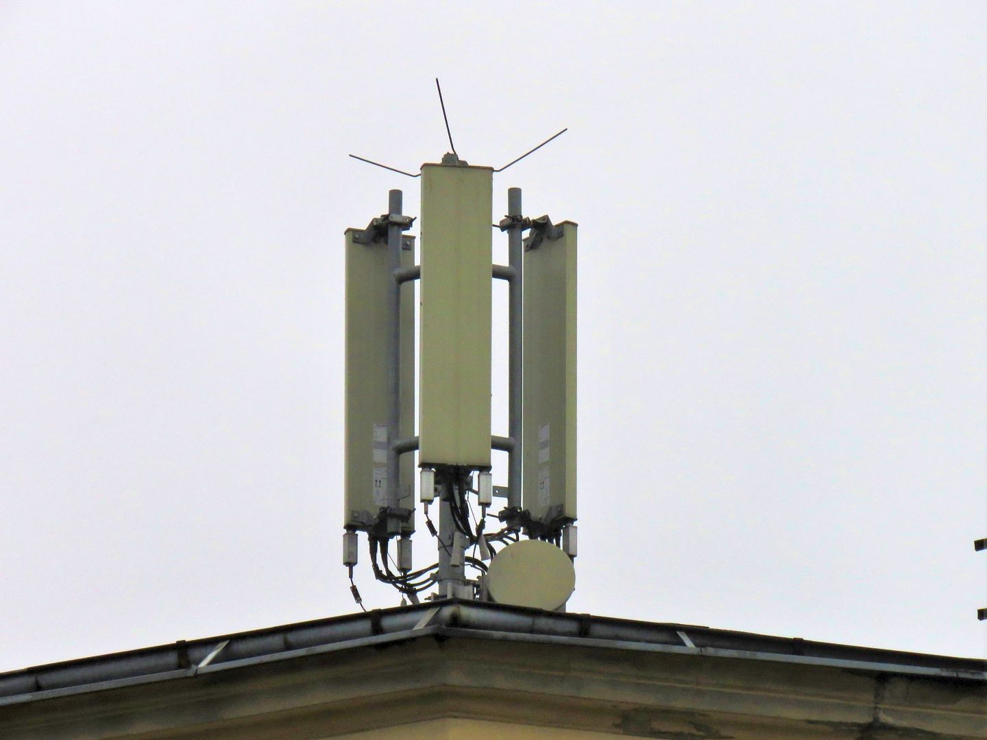 Dual band Kathrein antennas