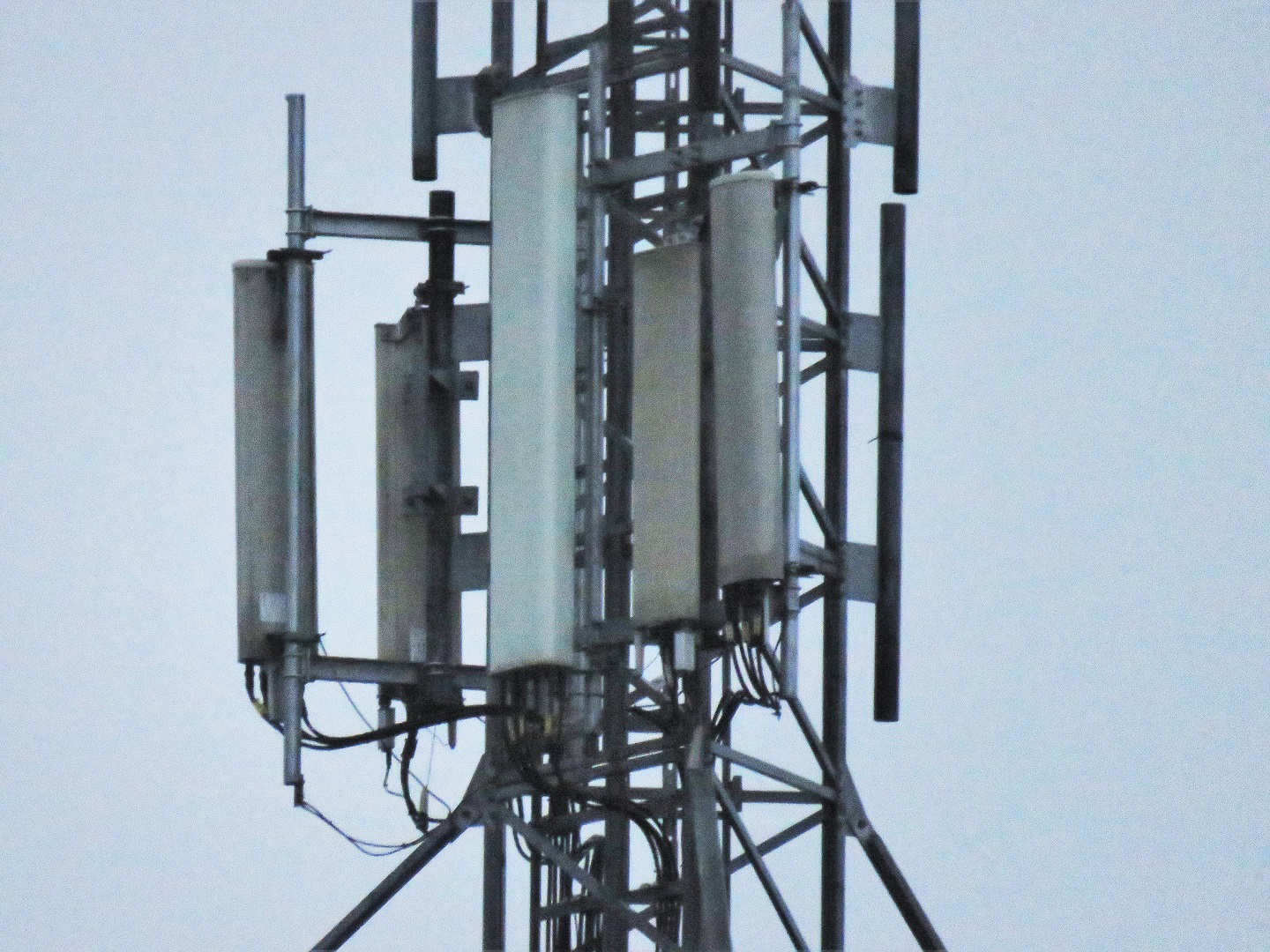 Orange and T-Mobile 4CA site on Ul Głogowska 14 with Huawei, Powerwave and Kathrein antennas and Huawei RRUs.