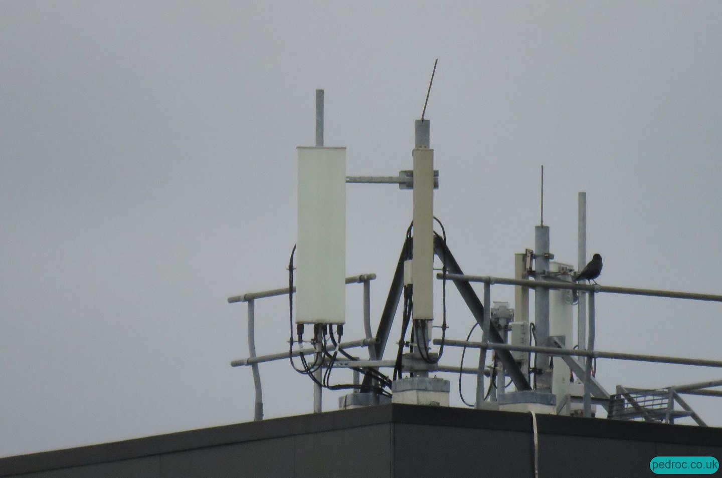 EE mast closeup with triple band Huawei for EE GL18+2T4R L26 and Kathrein for U21 on East Park Terrace, Solent University, Southampton.