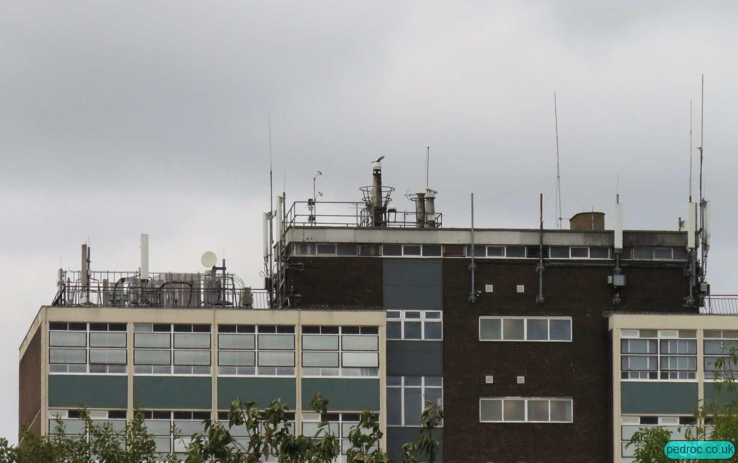 All Operator Mast on Reginald Mitchell Building, Solent University, Southampton.